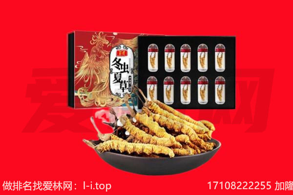 噶尔县回收虫草.jpg